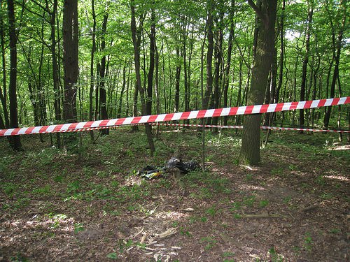 Житель Рівненщини знайшов труп у лісосмузі