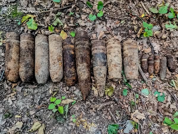 На Вінниччині  виявили та знищили арсенал боєприпасів