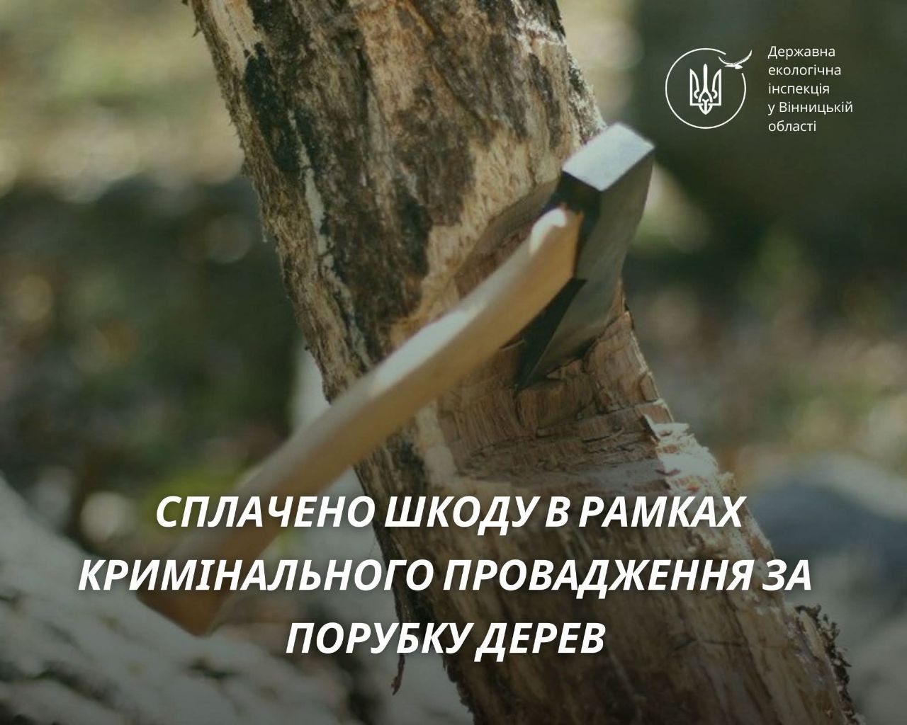 На Вінниччині лісівник вирубав дерева майже на 90 тисяч гривень