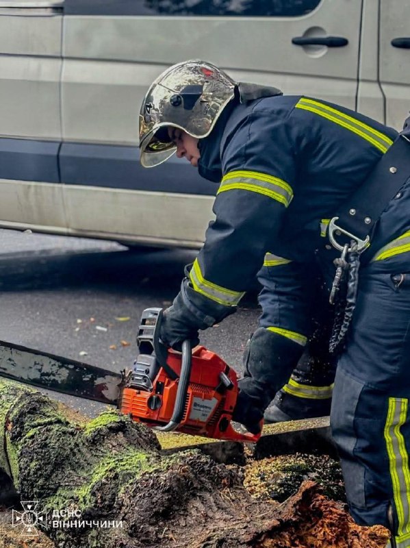 Повалені дерева і пошкоджене авто: Вінниччину накрила негода