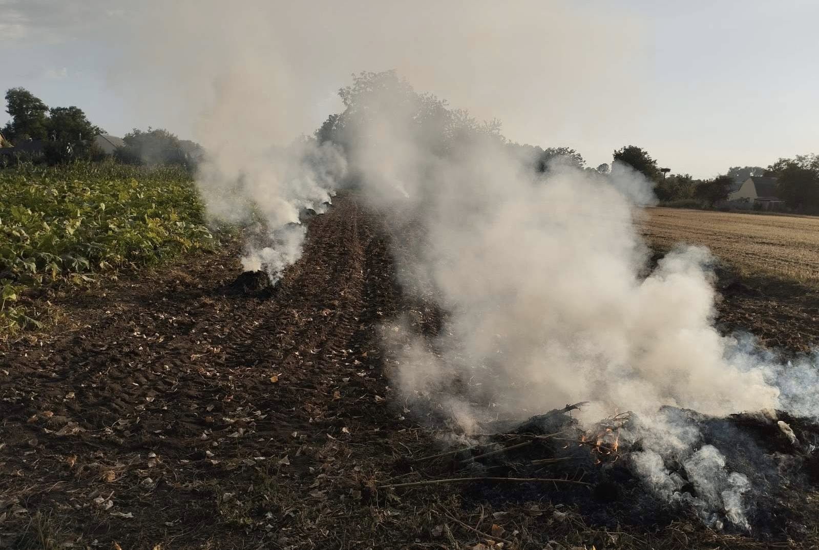 Вінницькі «інспектори блaгоустрою» наклали штраф на паліїв
