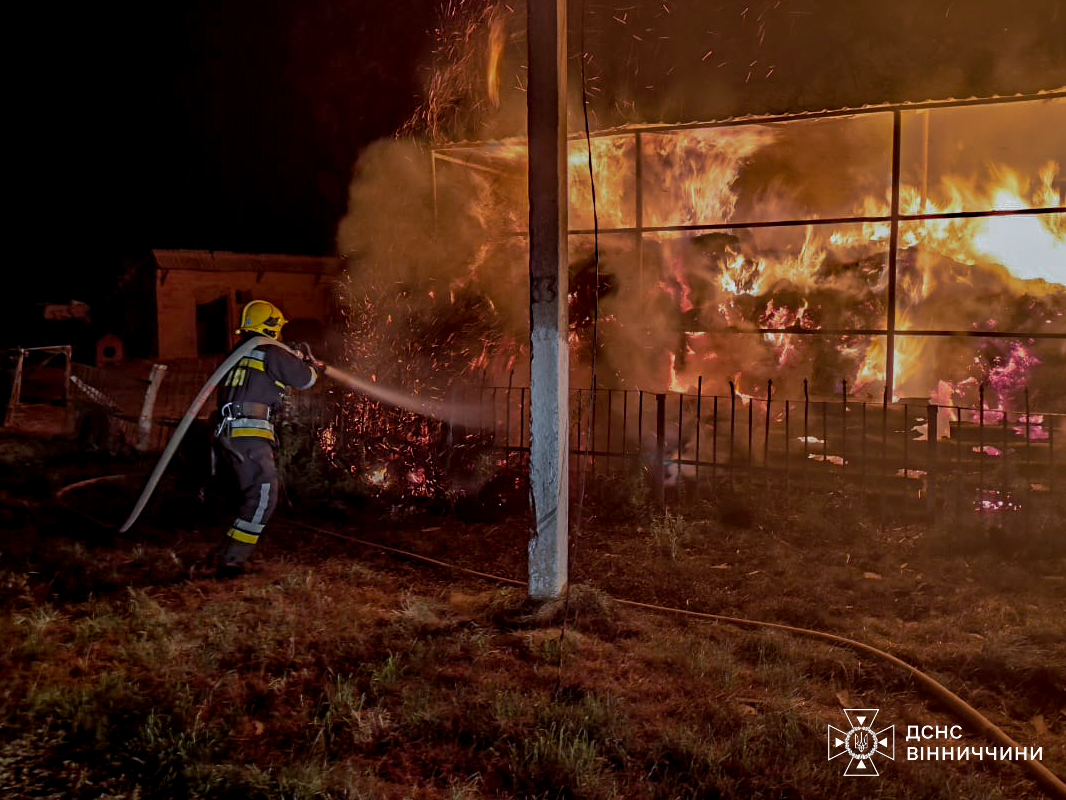 За добу на Вінниччині ліквідували сім пожеж: згоріло сіно та понад гектар сухої трави