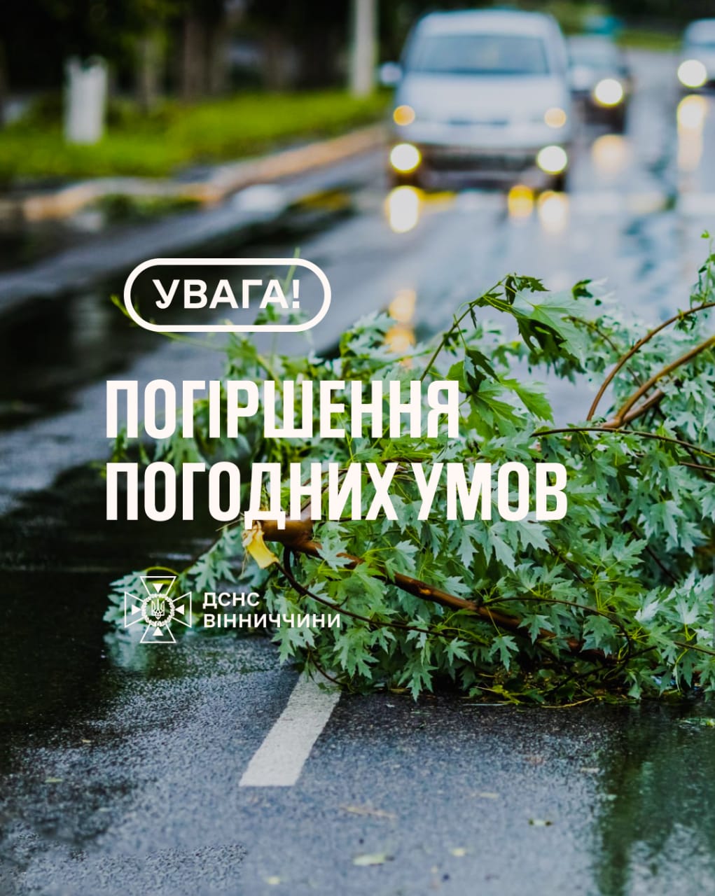 На Вінниччині оголосили штормове попередження: сильні пориви вітру 30 вересня