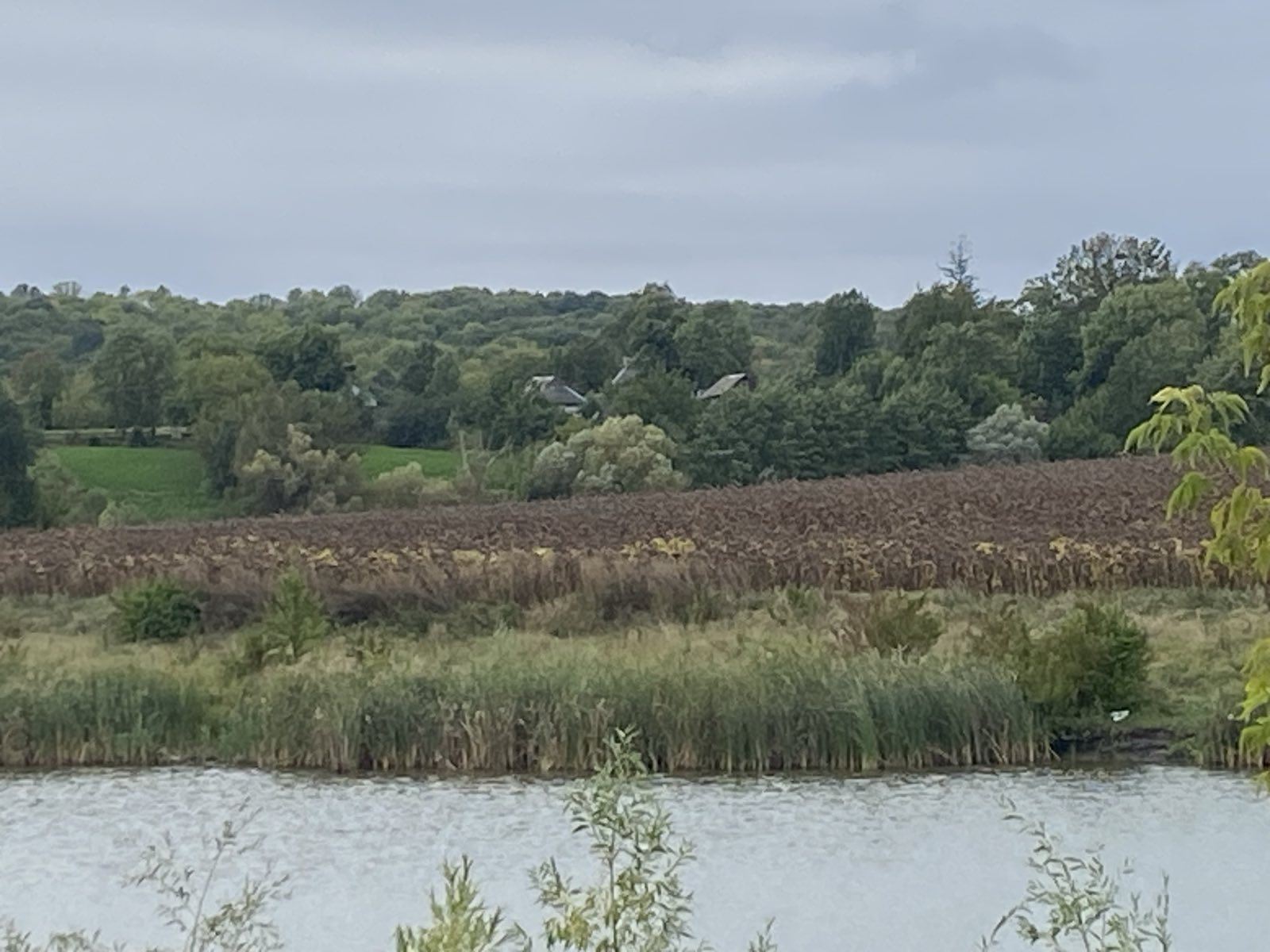На Вінниччині виявили незаконне розорювання прибережних земель уздовж річки Рось