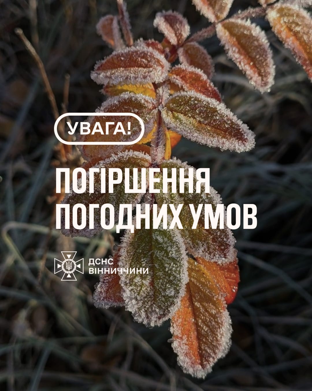 На Вінниччині прогнозують заморозки: ДСНС попереджає про похолодання