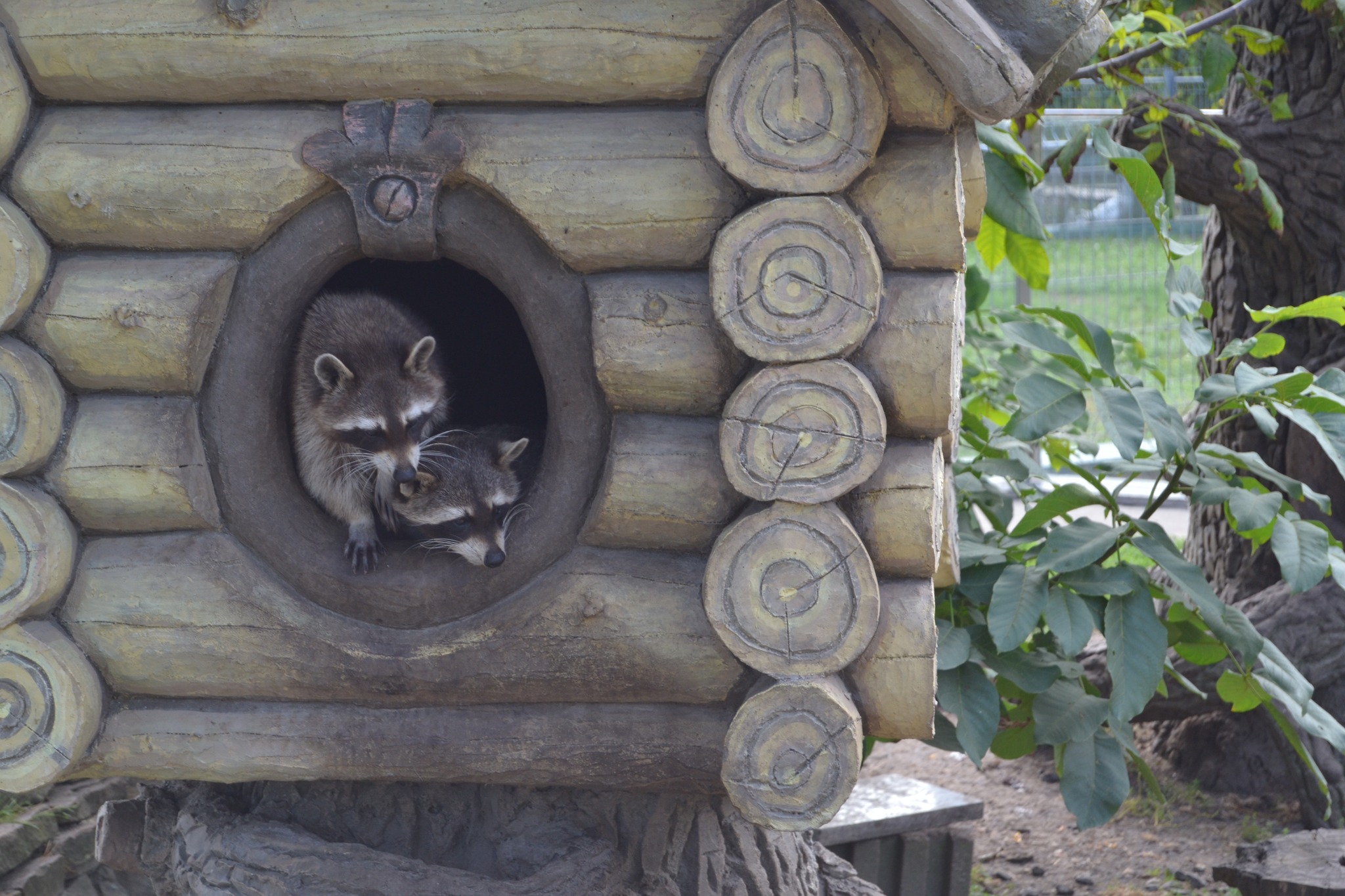 У Вінниці в зоопарку увімкнули опалення у «хатинках» приматів