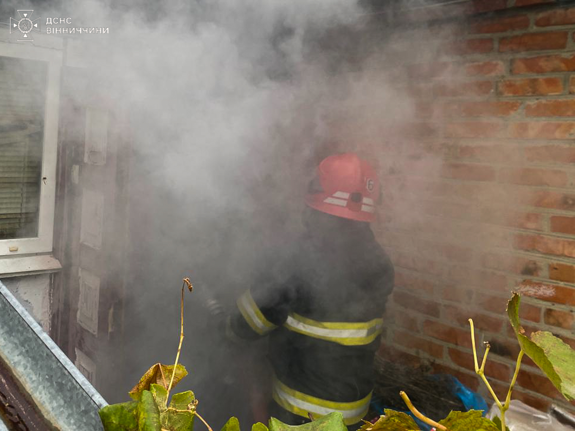 На Вінниччині у власному будинку згоріла жінка