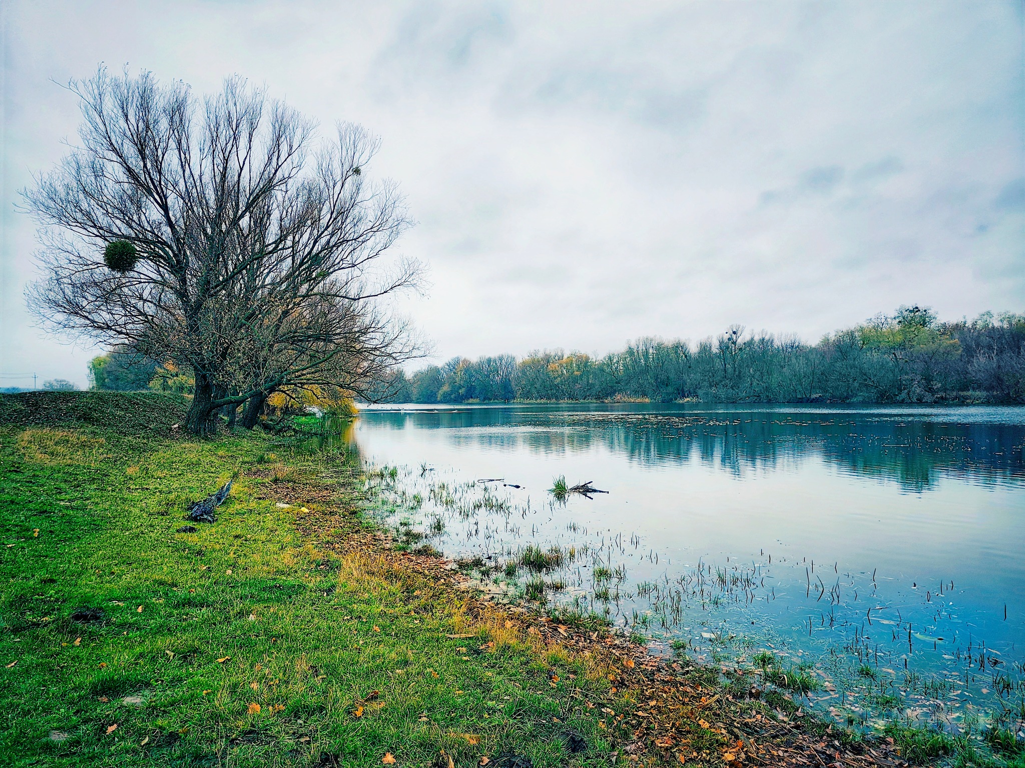 Екологи дослідили якість води Південного Бугу на кількох ділянках Вінниччини