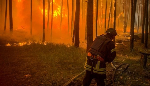 На Київщині, Донеччині та Харківщині триває ліквідація пожеж в екосистемах