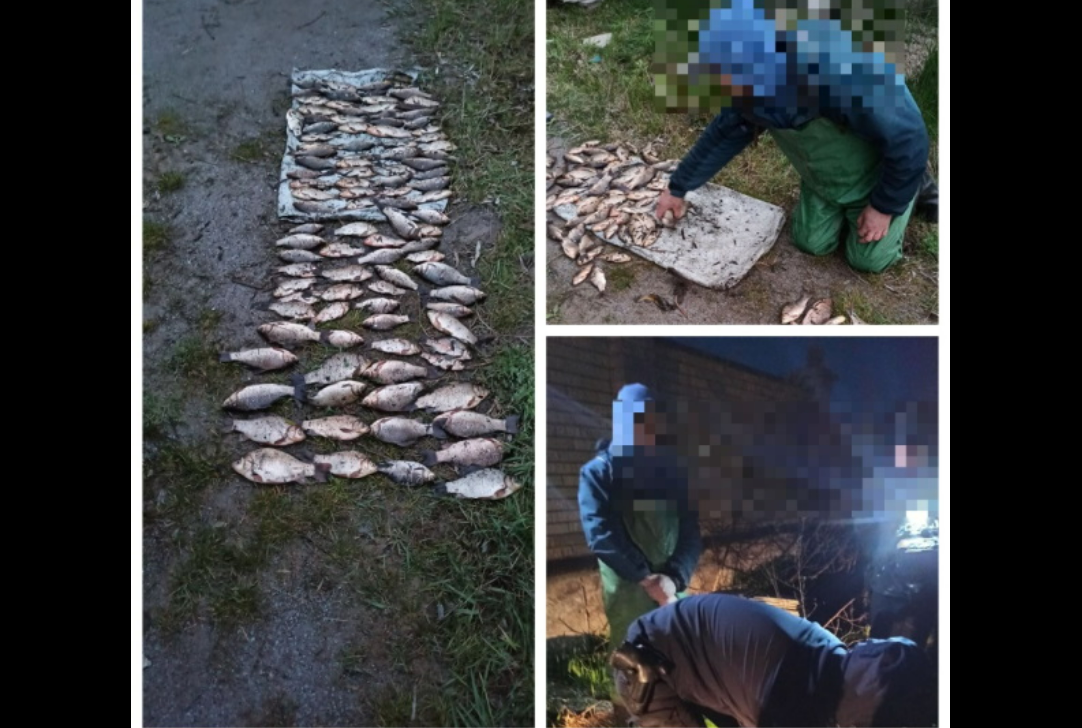 У Вінниці чоловік наловив риби майже на двісті тисяч гривень
