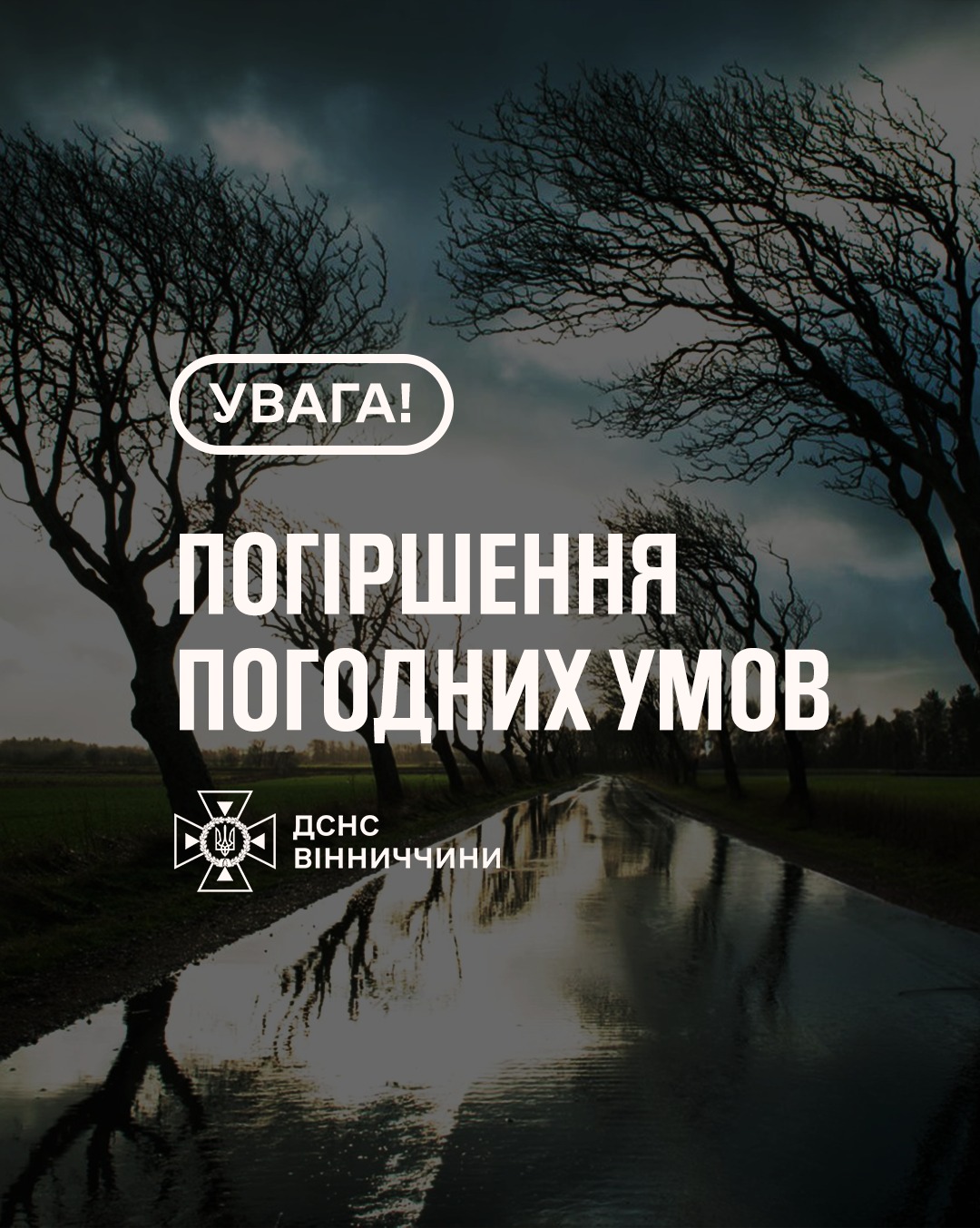 Сильний вітер на Вінниччині: рятувальники попереджають про небезпеку