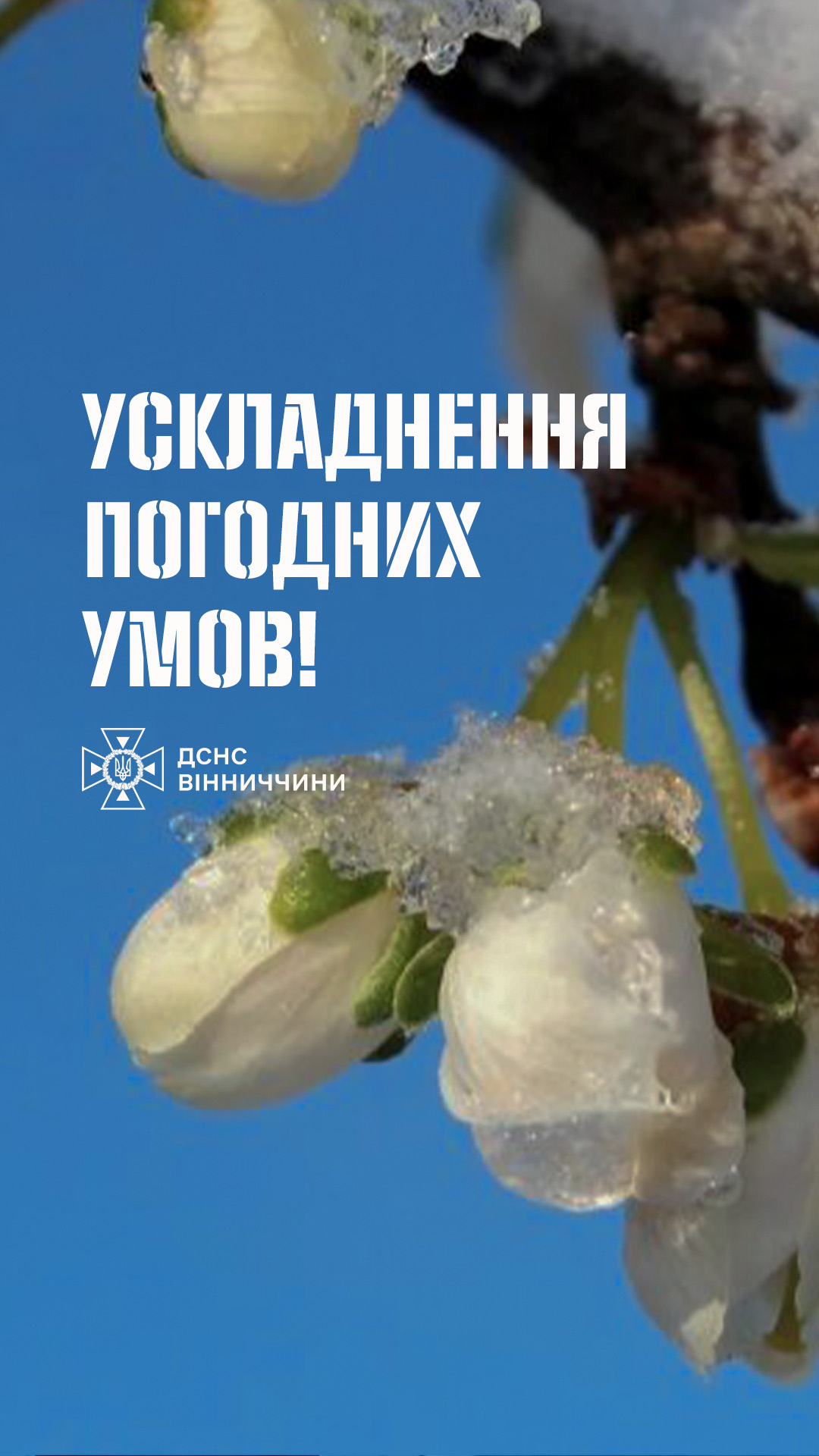 На Вінниччині прогнозують небезпечні нічні заморозки: оголошено помаранчевий рівень