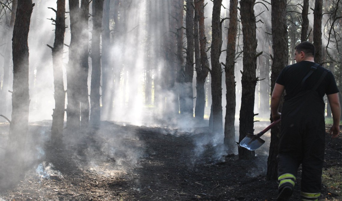 У Чорнобильській зоні вже третю добу ліквідовують лісову пожежу (ВІДЕО)