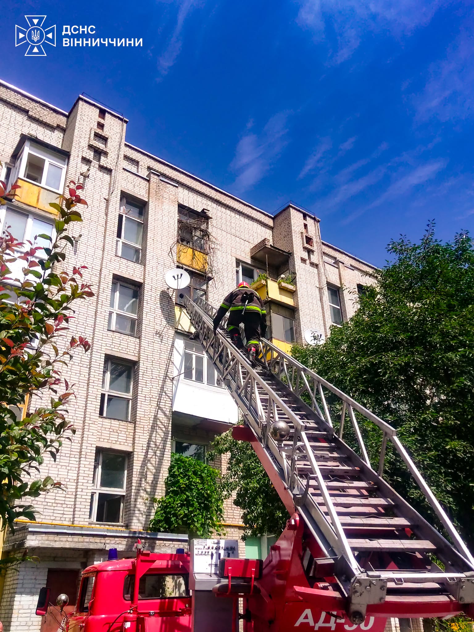 У Вінниці рятувальники через вікно потрапили до квартири та допомогли літній жінці