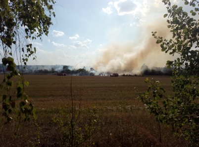 Вінницька область: рятувальники ліквідували чотири пожежі в екосестемах