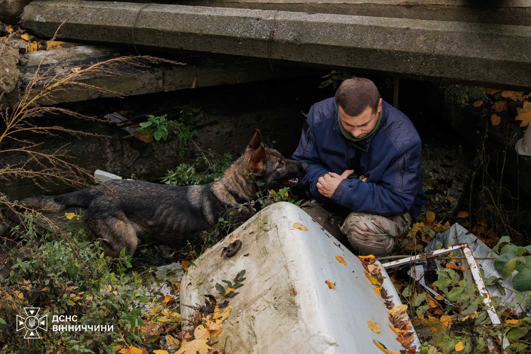 У Вінниці кінологи ДСНС і поліції тренували службових собак для пошуку людей під завалами