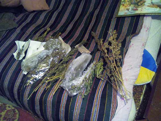Понад 300 грамів канабісу вилучили в будинку у жителя Вінниччини