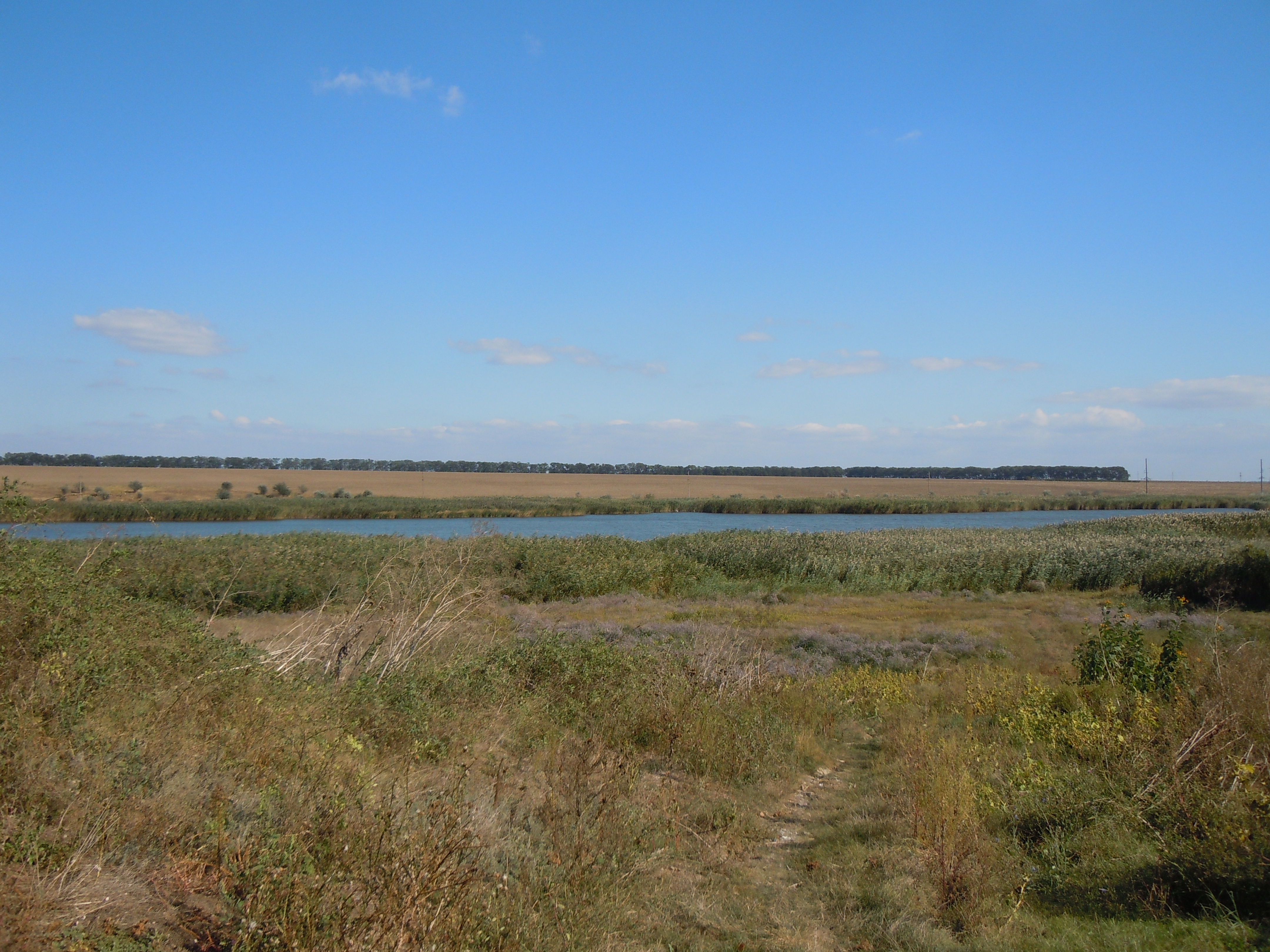 В Одеській області через війну озеро Саф'яни опинилося на межі знищення