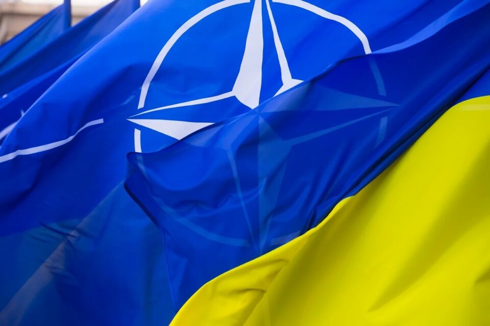 НАТО переводить персонал українського офісу