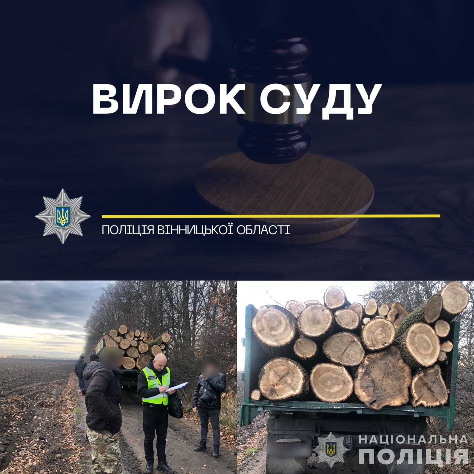 Суд виніс вирок вінницьким «чорним лісорубам»