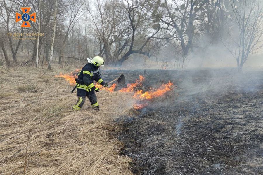 На Вінниччині за добу згоріло 7 гектарів сухої трави
