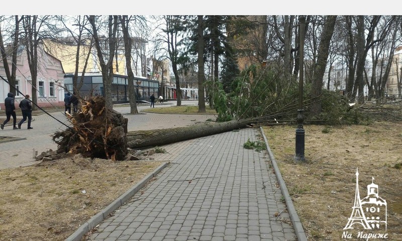 В театрі Садовського у Вінниці пошкоджено дах вітром, деревопад триває (Фото)