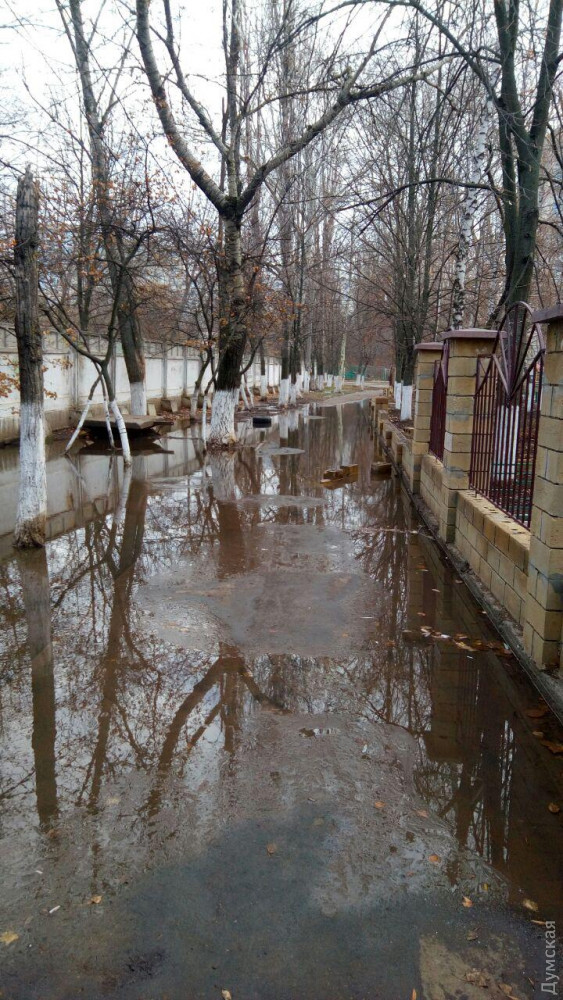 Потопы: нa Ильфa и Петровa школьный двор преврaтился в кaток, a нa Aкaдемической обледенели мaшины  