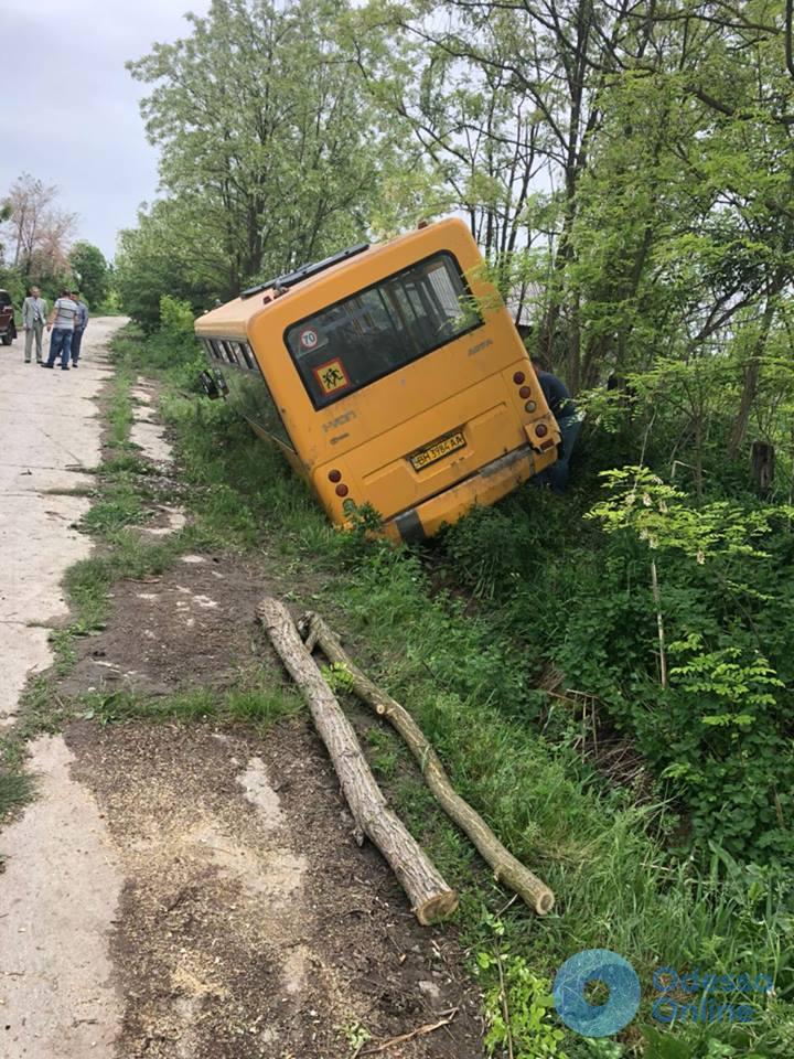 В Одесской области школьный автобус упал в кювет