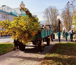 У Вінниці розпочато масштабну осінню кампанію з озеленення дворів