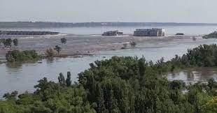  Екологи планують вийти в Чорне море для збору проб: переговори з військовими в процесі