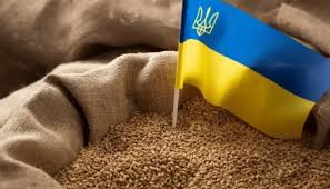 Україна прогнозує експорт понад 60 млн тонн зернових та олійних культур у 2024/2025 маркетинговому році