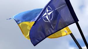 НАТО планує призначити спеціального представника в Україні для посилення довгострокових зобов'язань