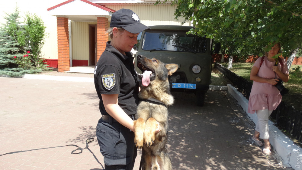 В кинологическом центре одесской полиции тренируется полсотни собaк