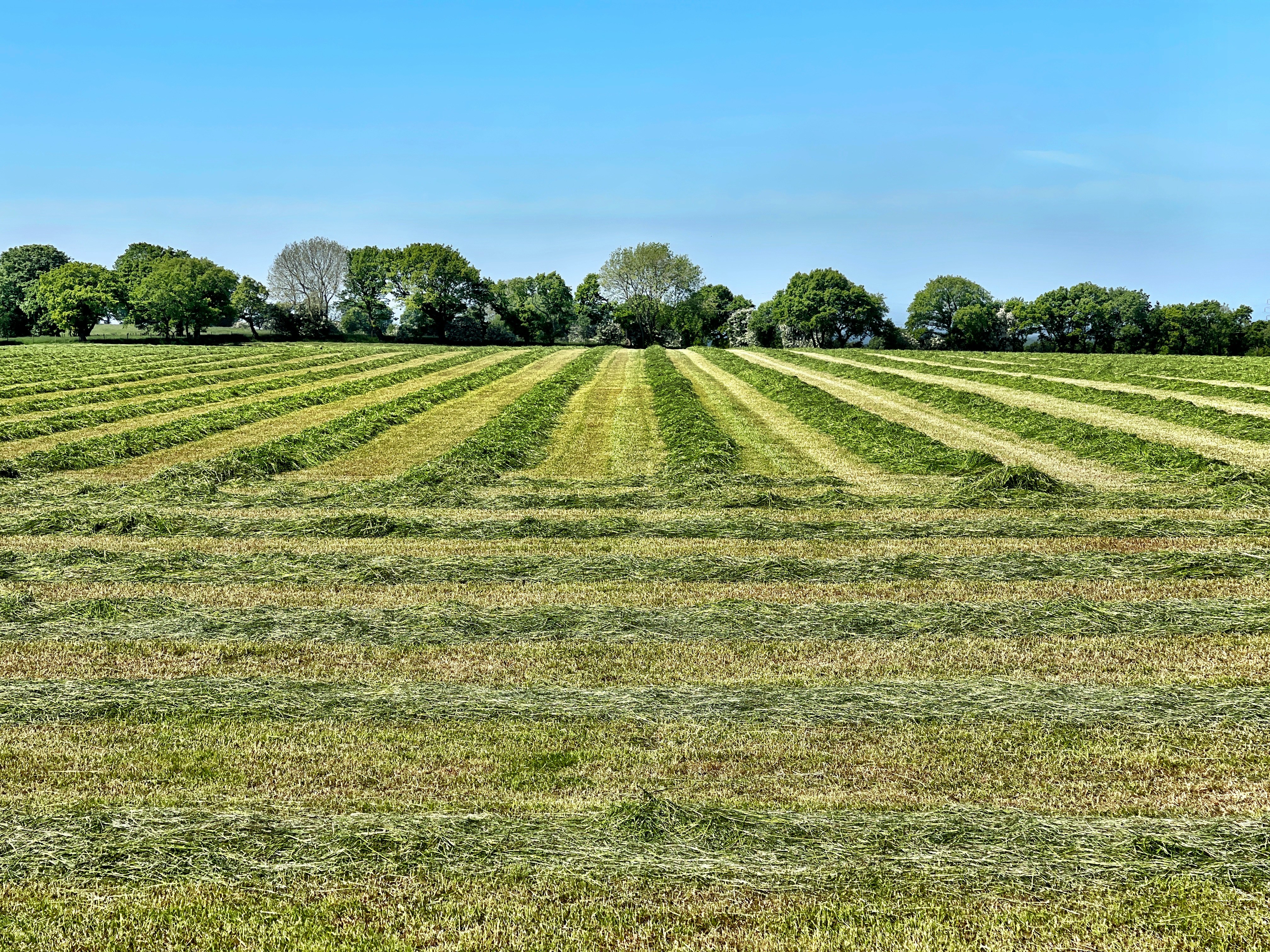 Громаді Ладижина повернули понад 155 гектарів земель водного фонду, які незаконно використовували для риборозведення