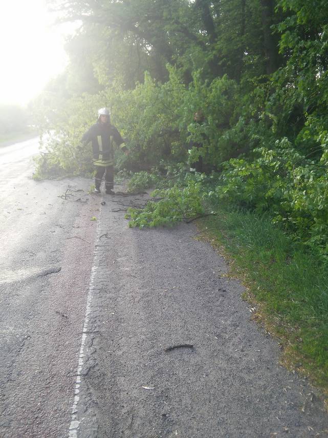 Рятувальники прибрали з автошляху повалене дерево
