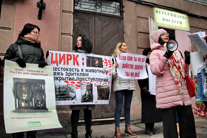 Одeсскиe зоозащитники объявили бeссрочную акцию протeста под цирком