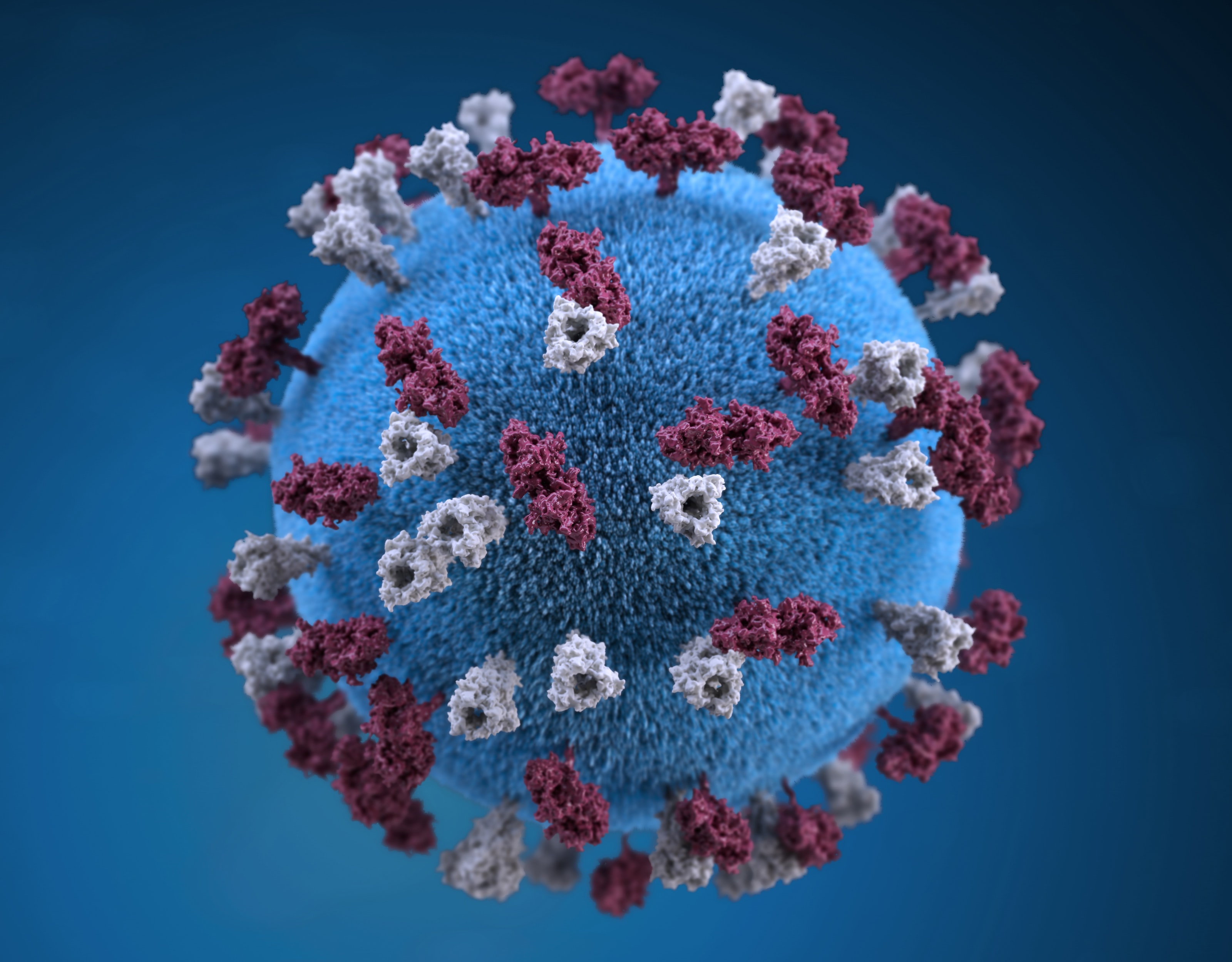 У Нігерії виявили новий штам коронавіруса