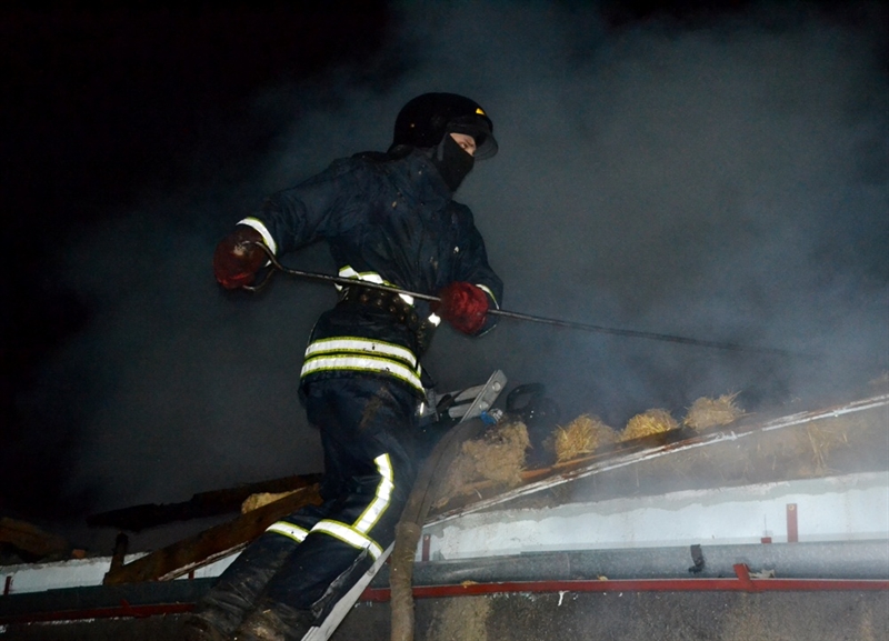 В Дофиновке из-за взрыва газового баллона пострадали трое человек