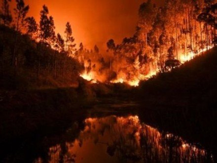 Українців закликали не їздити в Португалію через масштабну лісову пожежу