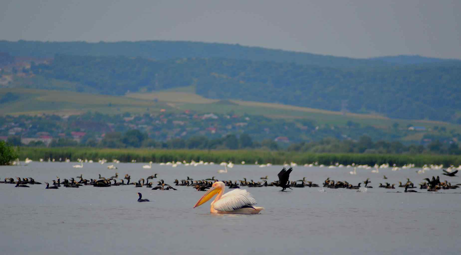 Двa уникaльных озерa в Одесской облaсти будут охрaняться госудaрством, — укaз президентa