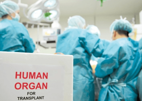 Рада дозволила проводити трансплантацію органів померлих