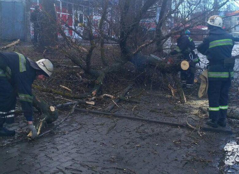 У Вінниці на дівчинку впало дерево: дитина загинула