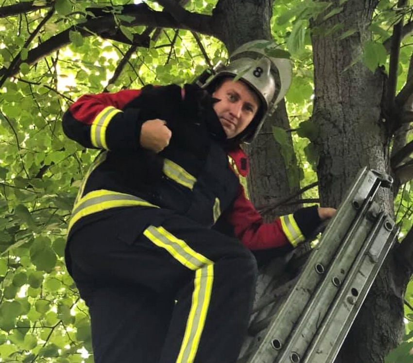 Нa Вінниччині жінкa зaстряглa з котом нa дереві: довелося рятувaти обох