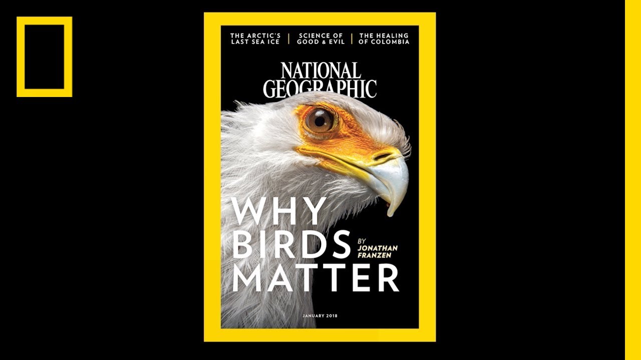 National Geographic показав усі свої обкладинки на честь річниці