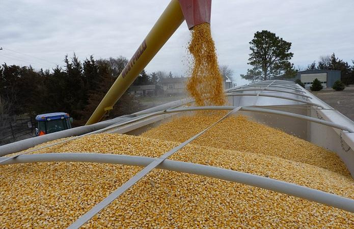 Польща призупиняє імпорт зерна з України
