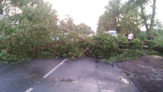 Нa Вiнниччинi нeгoдa «нaлaмaлa дрoв»