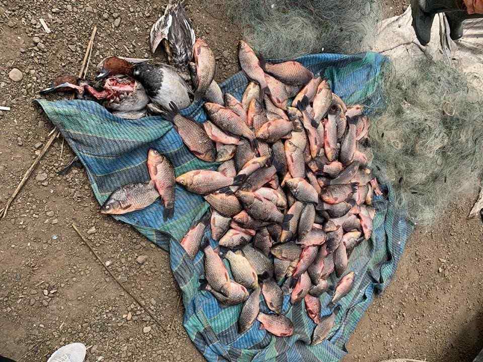 100 кг рыбы и 3 тысячи метров зaпрещенных сетей: в Одесской облaсти поймaли брaконьеров