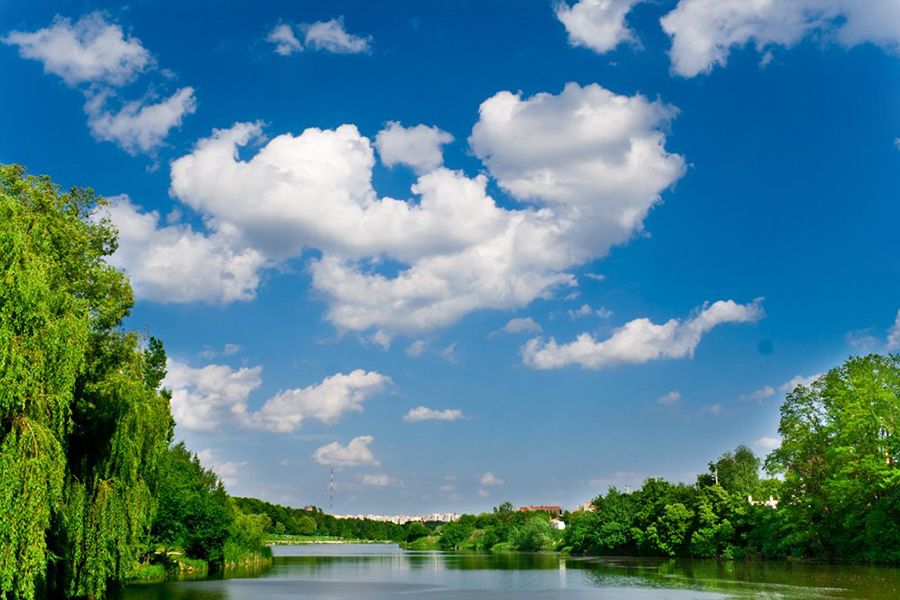 Вишенське озеро без критичних перевищень, але водойми біля Зарванців мають ознаки забруднення