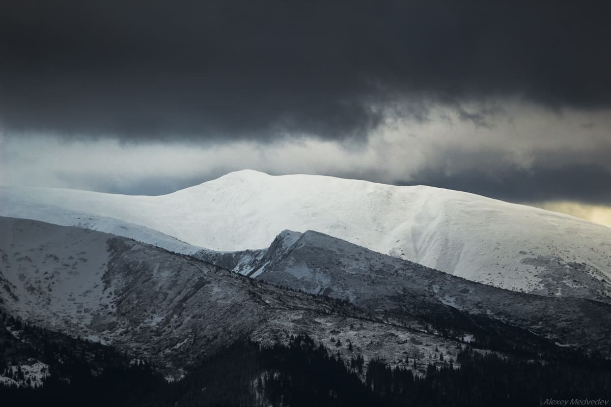 У Закарпатській області виявили тіла двох чоловіків з Вінниччини