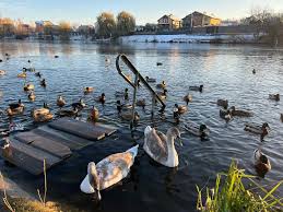 У Вінниці зробили проби води на Вишенському озері та річці Тяжилівці
